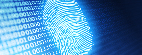 Kampagnenmessung mit einer Tracking-ID
